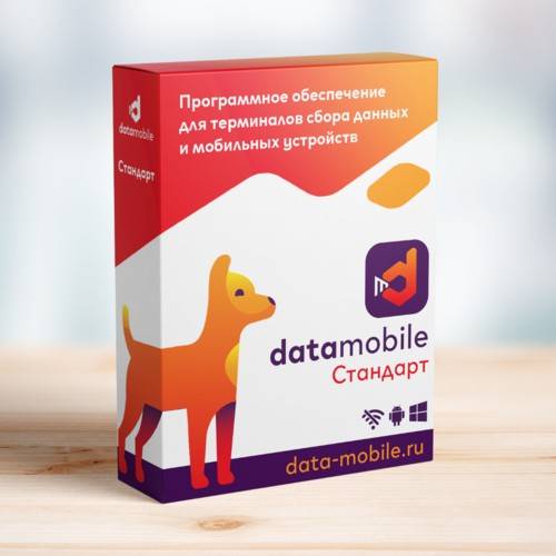 DataMobile Стандарт артикул 59677 ПО DataMobile, версия Стандарт - подписка на 1 месяц 